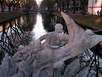 Der Tritonenbrunnen am Kö-Graben