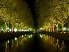 Bei Nacht Königsallee
