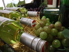 Wein-Reisen im Trend